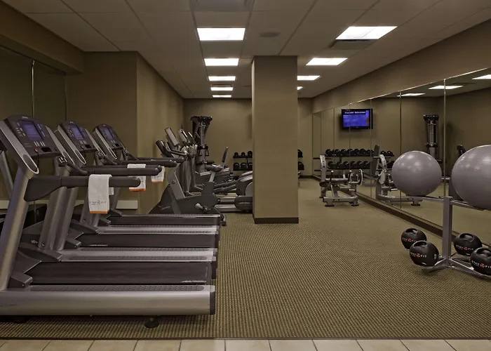 Hotel Hyatt Regency Near Naperville 3*