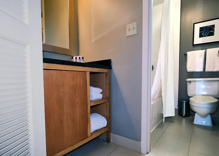 Hotel Hyatt Regency Near Naperville 3*
