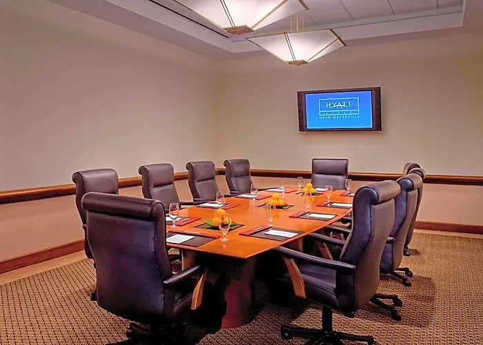 Hotel Hyatt Regency Near Naperville 3*