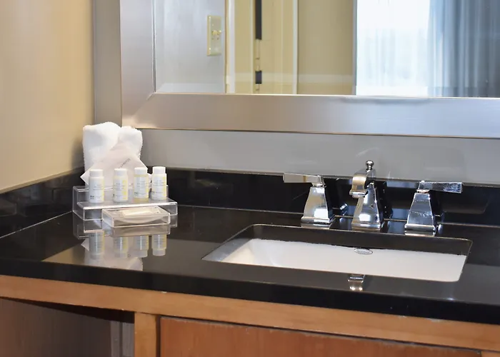 Hyatt Regency Near Naperville